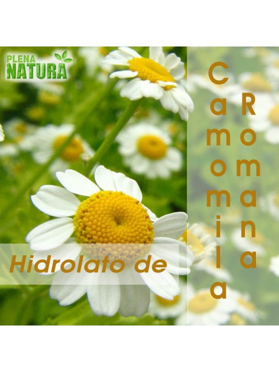 Hidrolato de Camomila Romana - Orgânico (Bio)